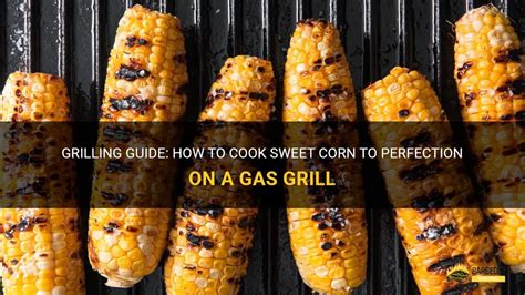 cooking sweet corn on a gas grill